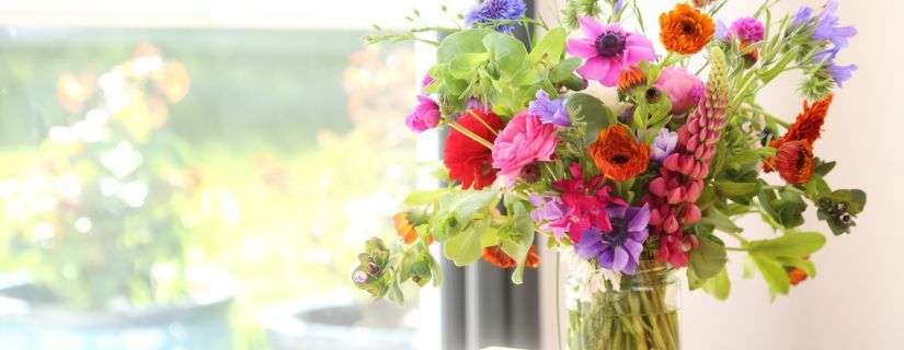 Are Email Addresses Case Sensitive?