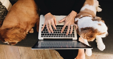 Achieve Better Marketing Results by Analyzing and Optimizing With Split Testing