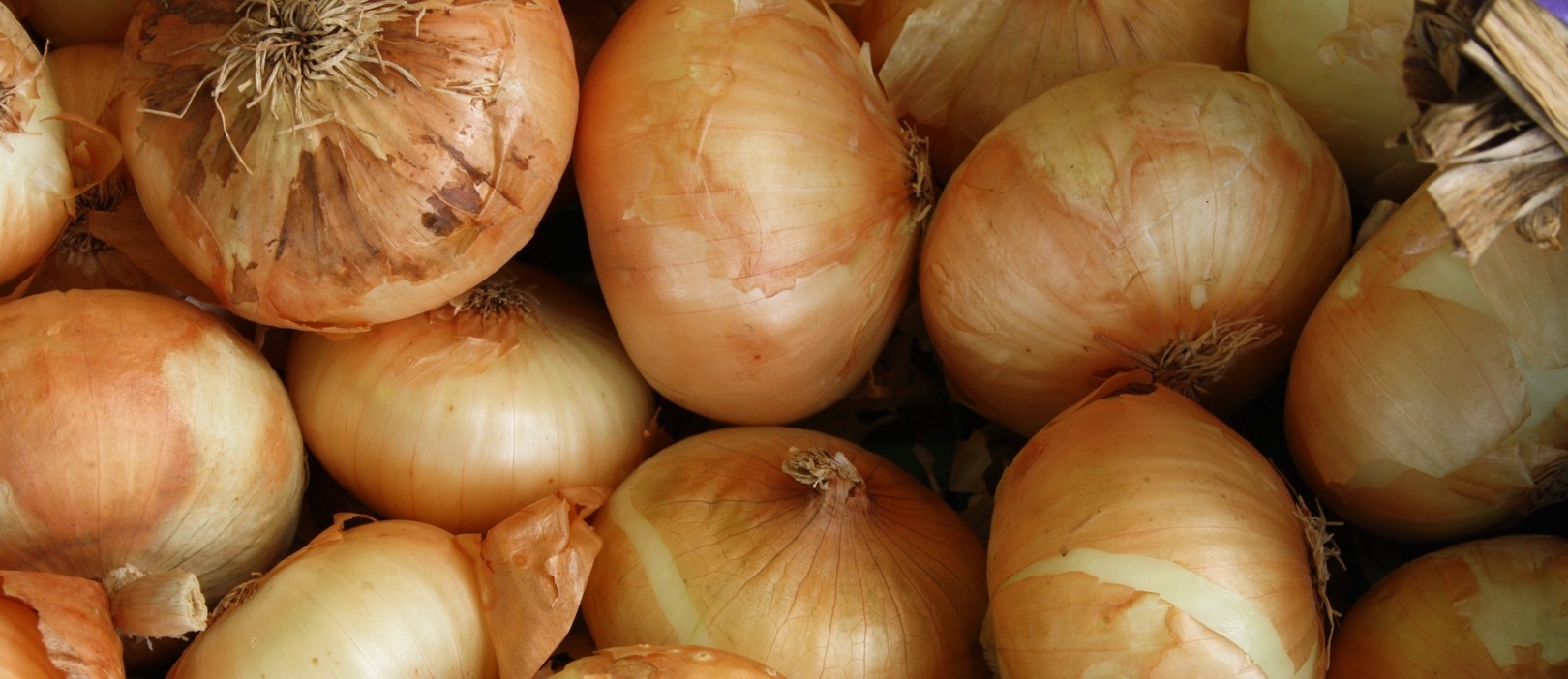 How an Onion Mug Got Me a Sales Meeting