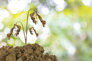 Why You Need to Stop Neglecting Your Old Content