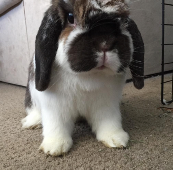 What Cornea Transplants Taught Me About Sales.