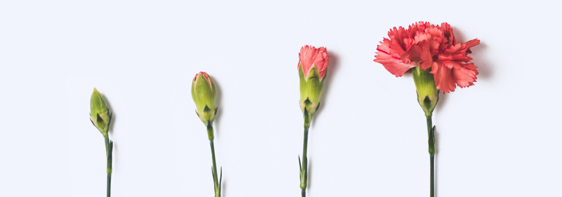 4 Tips to Grow Blog Audience Through Email Marketing