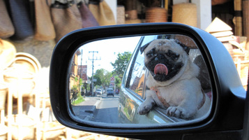 7 tips for writing the perfect About Me page for your freelancing site