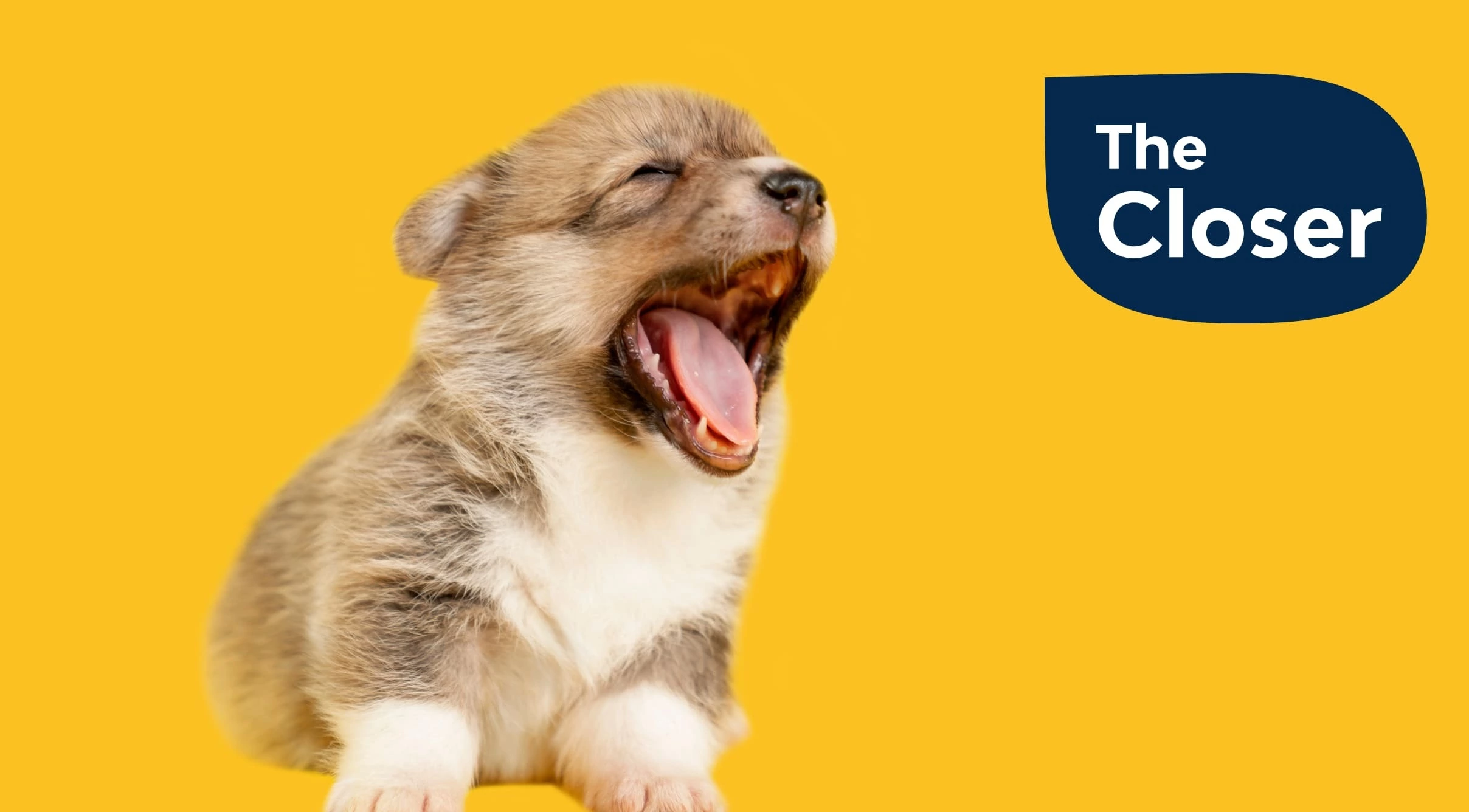 The Closer | Sales ops snapshot