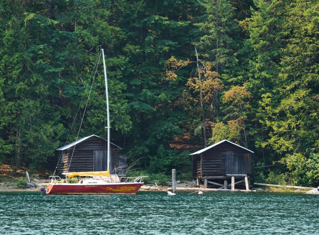 Forr The Planet: Sustainability Interview Series - Thoughtworks