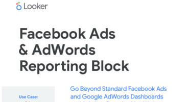 Facebook & AdWords by Segment
