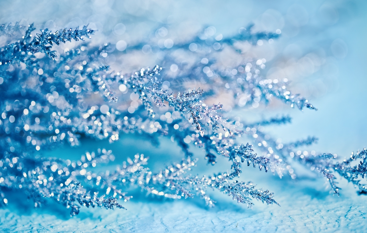 Retailers Win Big on Black Friday, Cyber Monday 2018: The Data Behind a Record-Breaking Cyber Week