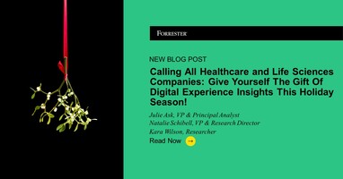 Calling All Healthcare And Life Sciences Companies: Give Yourself The Gift Of Digital Experience Insights This Holiday Season!