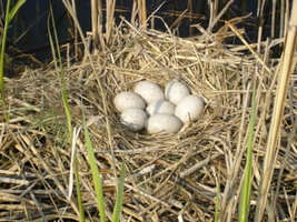 7 Tips about Tweeting Content ... and How NOT To