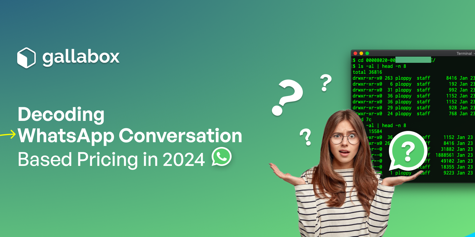Decoding WhatsApp Conversation-Based Pricing in 2024