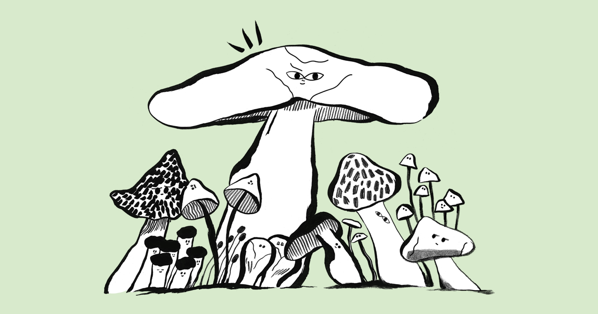 7 Marketing Strategies for Growing Your Audience