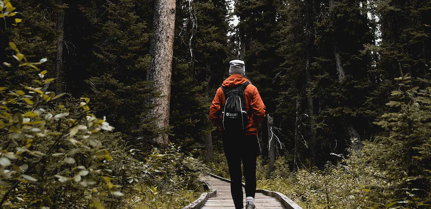 How to self publish your book