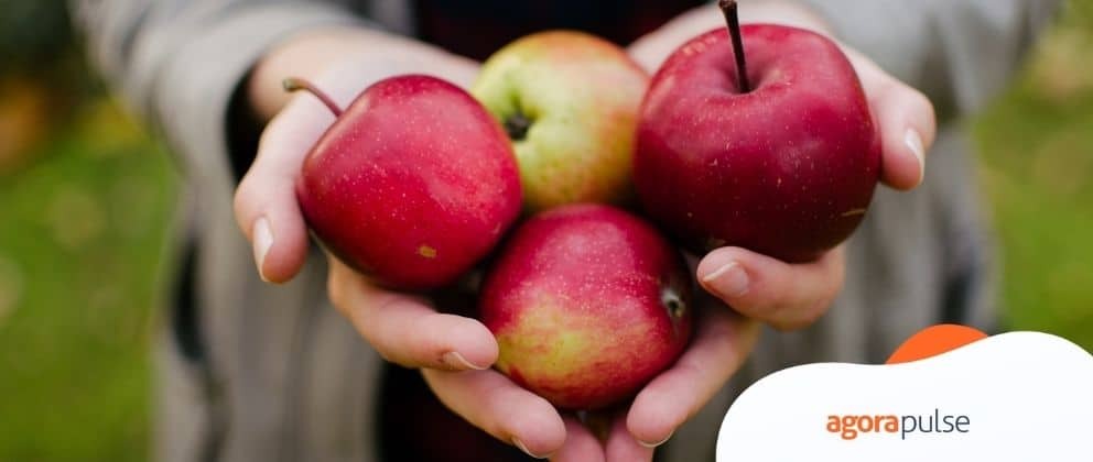 25 Instagram Templates for the Health Industry