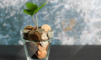 The ROI of Digital Intelligence: Time, Money, and Opportunity