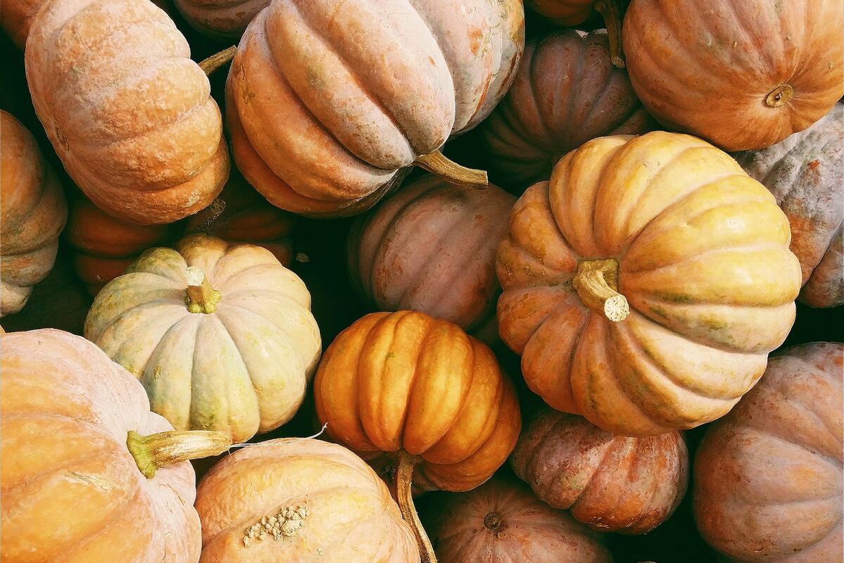 The Top 8 Thanksgiving Email Examples & Campaigns for Inspiration