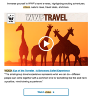 Videos in Email Marketing | Twilio SendGrid