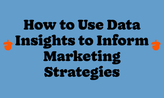 How to Use Data Insights To Enhance Your Marketing Strategy