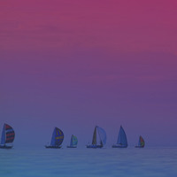 Mastering Organic B2B Lead Generation: Strategies, Techniques, and Best Practices