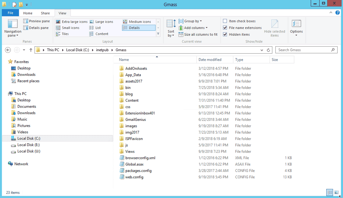 How to serve WordPress pages and ASP.NET MVC pages from the same IIS folder