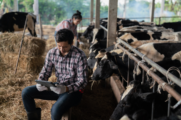 10 AI Tools That Small Businesses Should Use Today