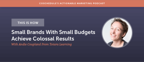 This Is How Small Brands With Small Budgets Achieve Colossal Results With Andie Coupland From Totara Learning [AMP 146]