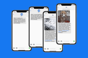 Nonprofit SMS Marketing Showdown: Humane Society vs PETA