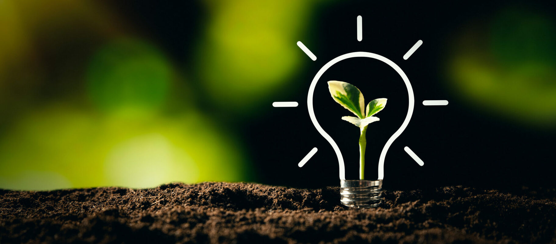 DIAL: Digital Innovations Awesome List (September 2021) - Basis Technologies