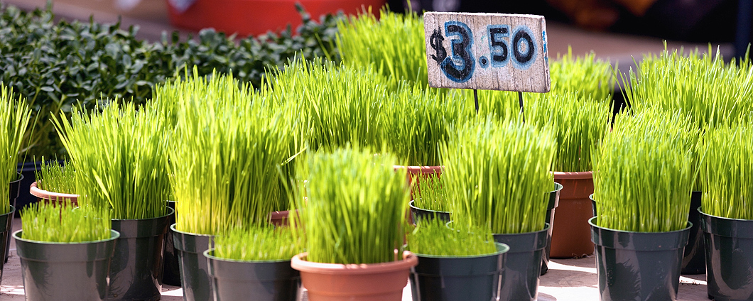 How to Price Your Products? A Science Backed Answer