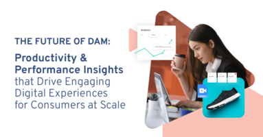 Productivity and Performance Insights Are the Future of DAM