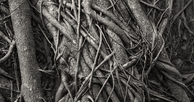 29 examples of AI use in data analytics