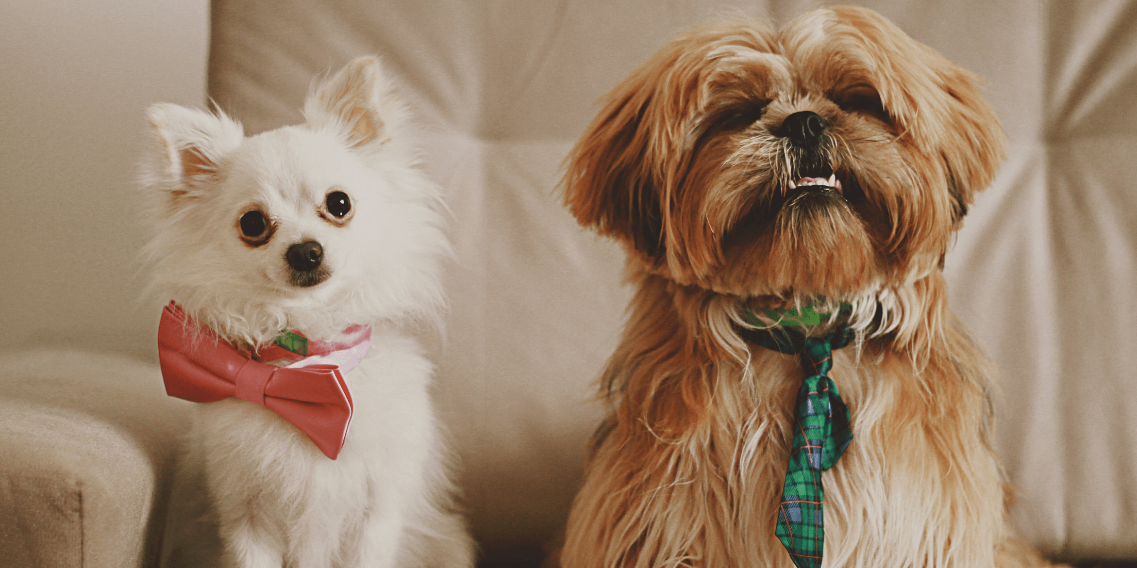 Bowtie funnel: A modern twist to marketing funnels