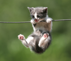 How to Build, Maintain and Scale a Strong Culture-According to Kristin Graham