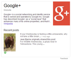 5 Things Google Plus Did To You When You Weren't Looking