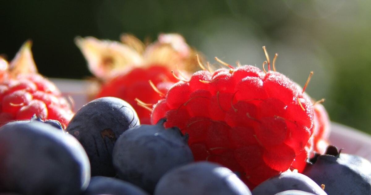 Starving's overrated: How to sell art online