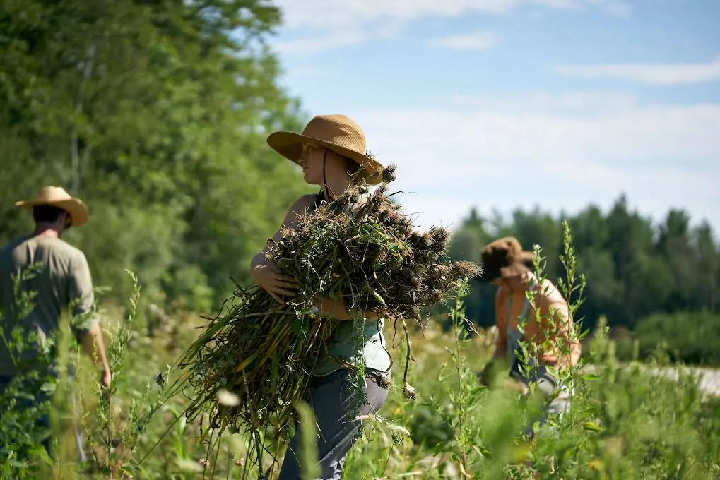 9 Ways The Market Gardener Institute Gained an International Audience