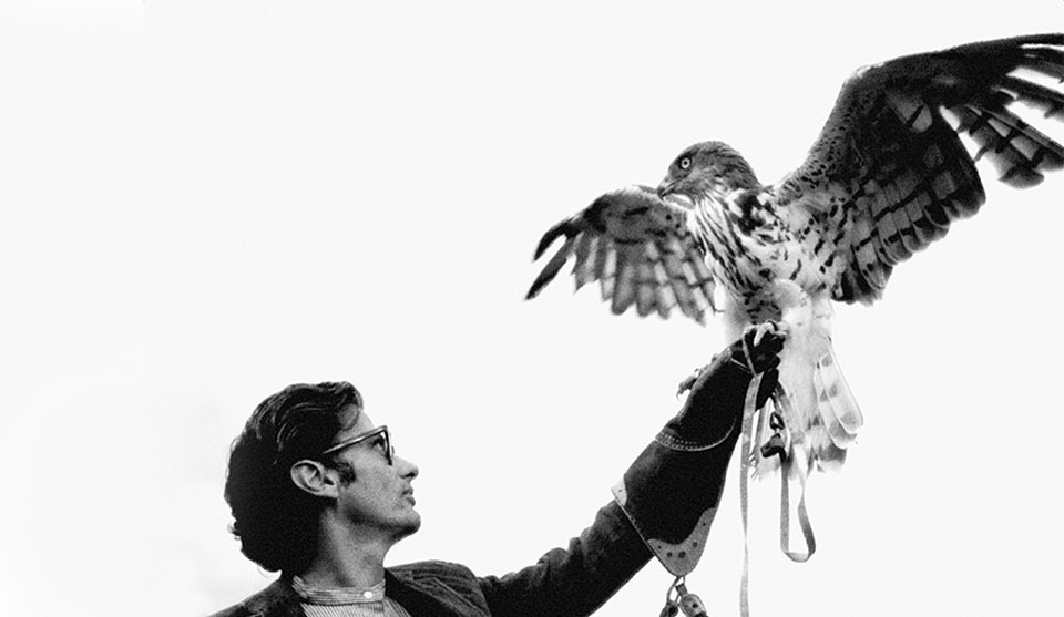 The Secrets of Richard Avedon and His Legendary Studio - Ceros Inspire