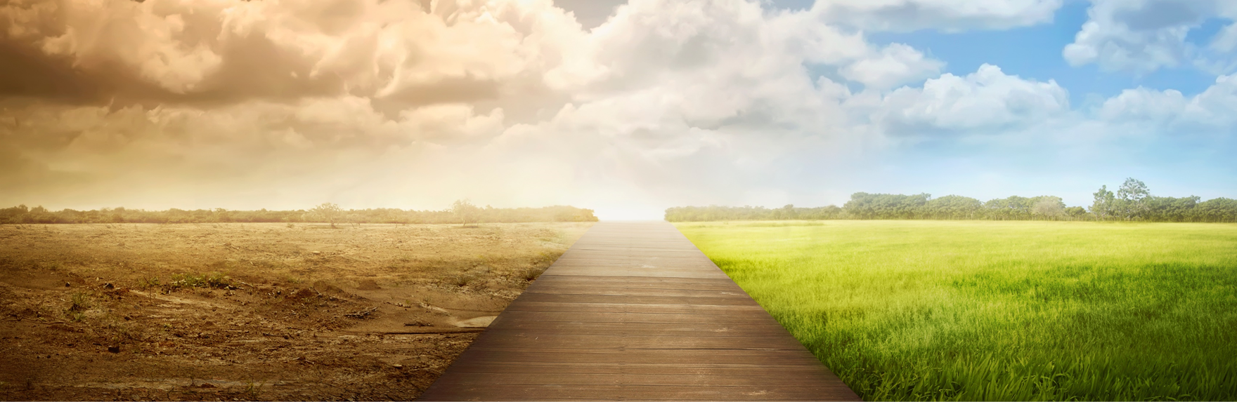 How Trusted Messengers in Digital Ads Can Overcome Climate Change Skepticism