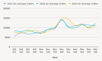 Holiday shopping insights: Lexer retail intelligence