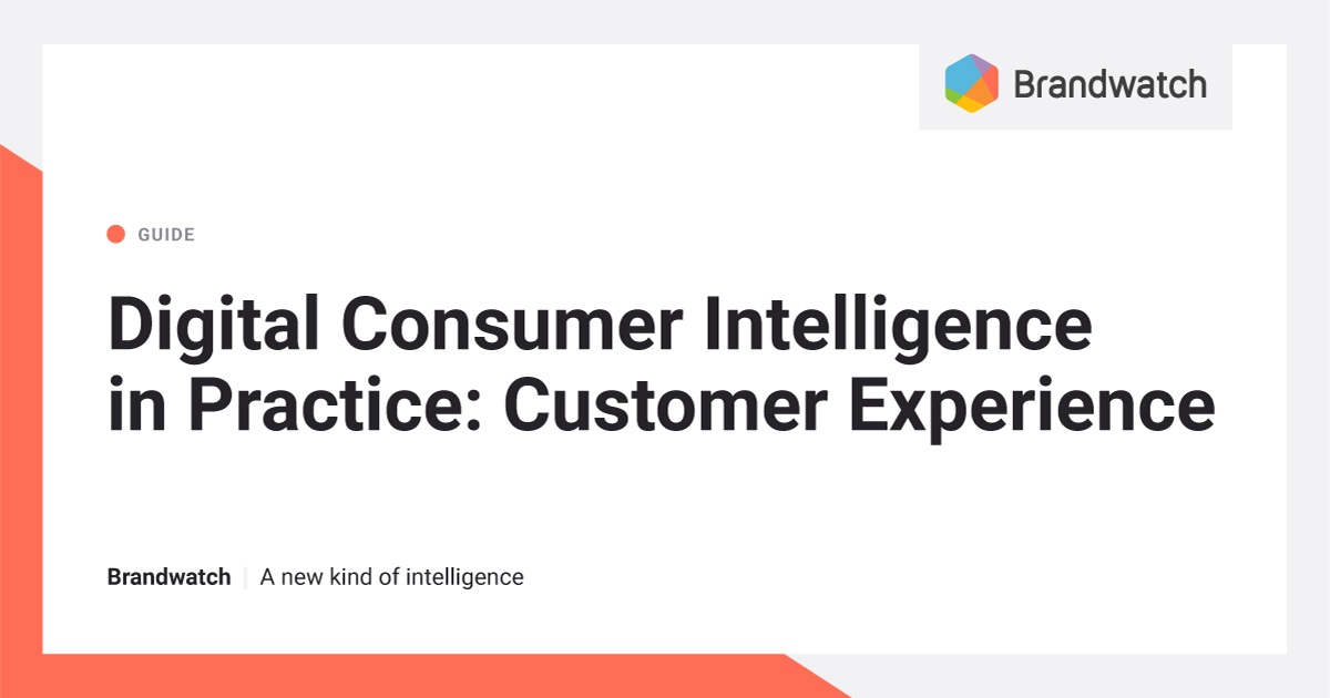 Digital Consumer Intelligence in Practice: Customer Experience