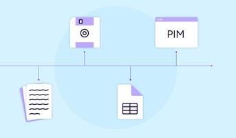 The (Almost) Complete History of PIM