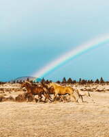 4 Super-Smart Keyword Research Ideas that Boost SEO