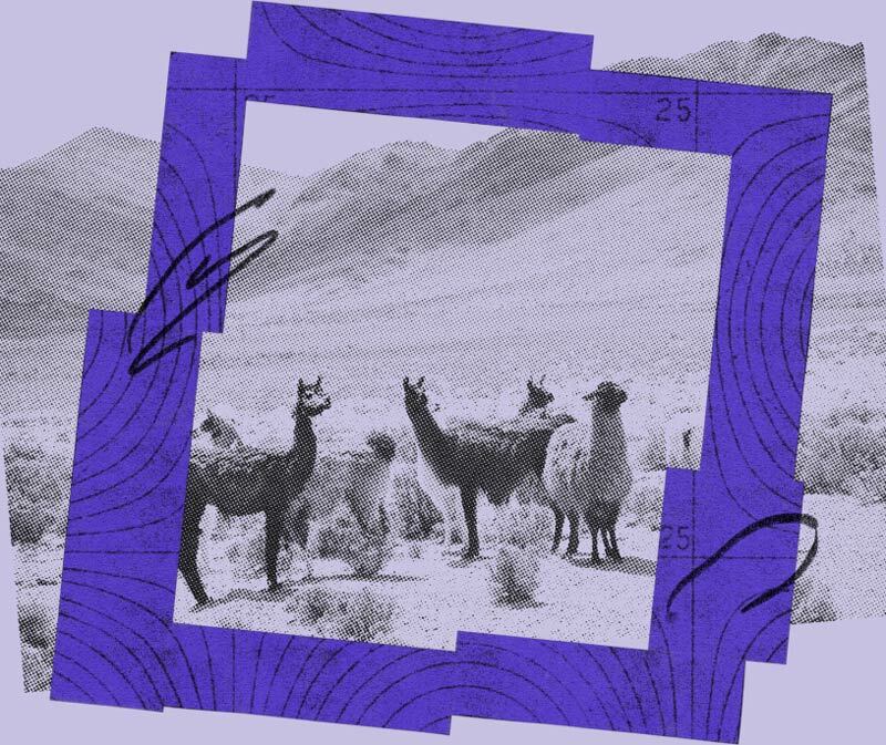 Vanta webinar: Selling to the enterprise?