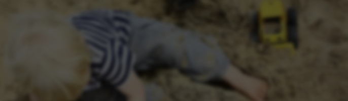 What is WordPress Playground? Exploring the browser-based test environment