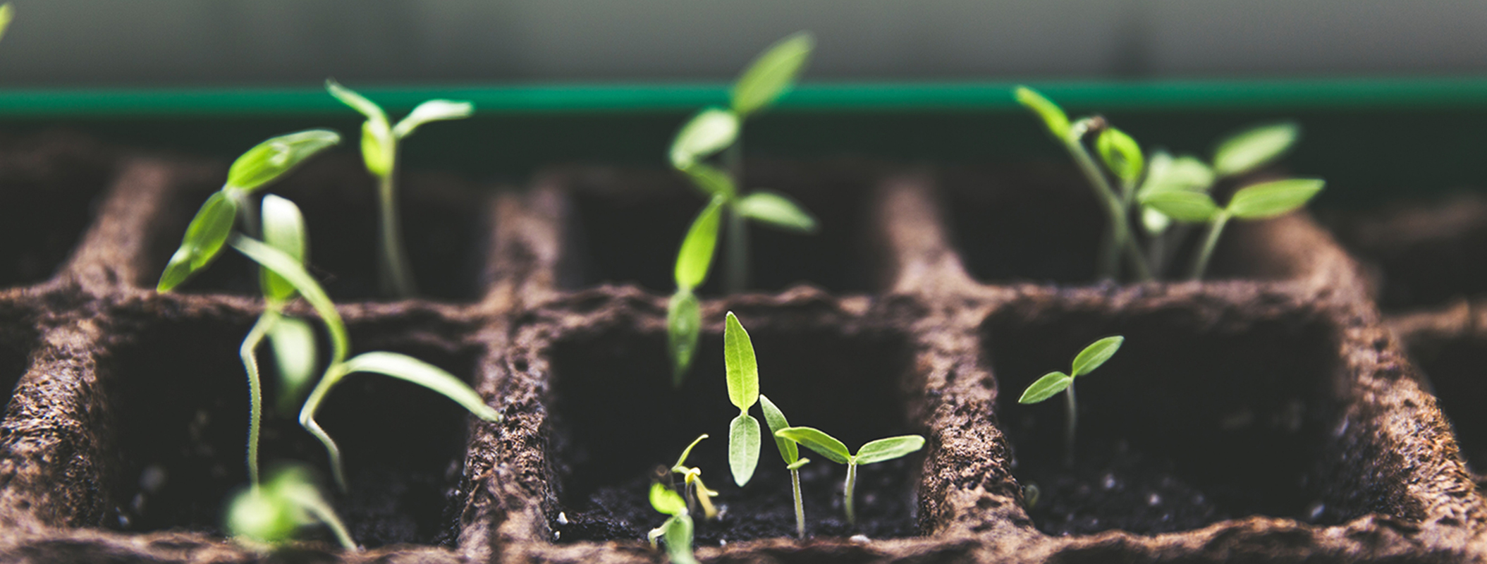 CTO Corner: Clari's Technology Roadmap