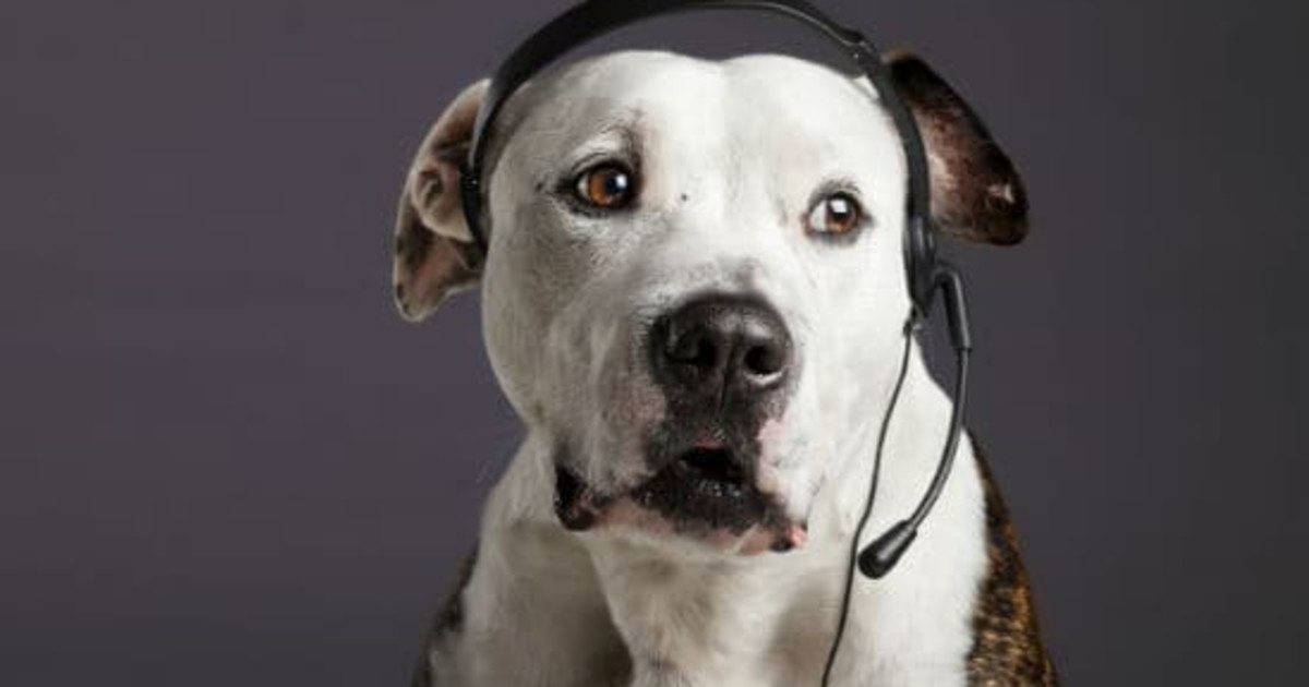 5 Things You Didn't Know About Voice Analytics Tech