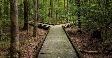 Netlify and Vercel Alternatives