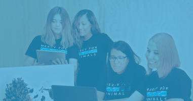 Behind-the-Scenes: How Mercy For Animals Gets Millions of Social Media Impressions Every Week