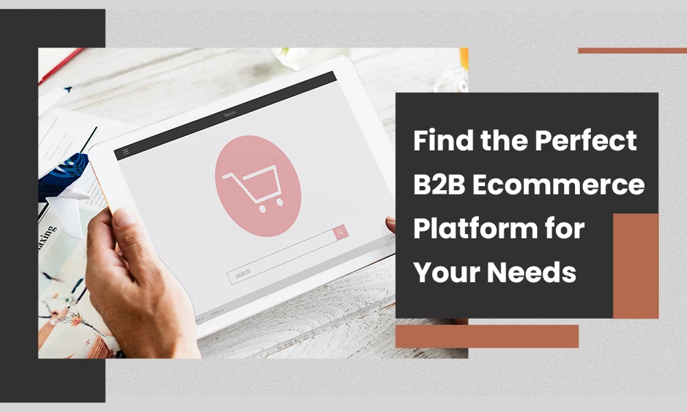 Find the Perfect B2B Ecommerce Platform for Your Needs