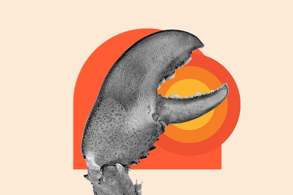 The 4-Word Manta That Helped Land a Deal on Shark Tank