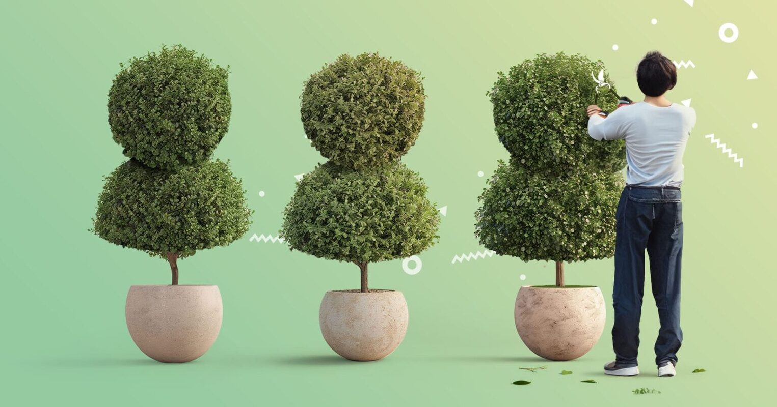 Introducing Evergreen Sequences and More Reply Updates